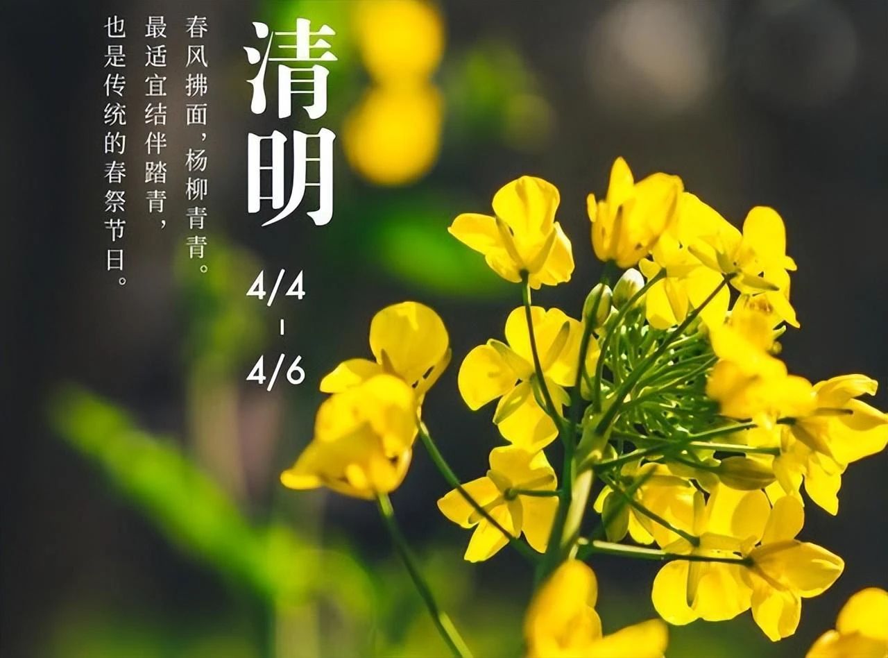 1746755231521209.jpg 1cd52f176ec29c5b69962803a38a1bd7.jpg