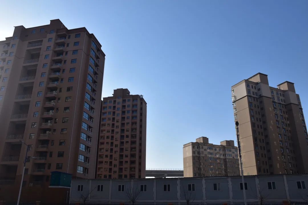 1748394458305757.jpg 035ffccf596fbcea13b887c8b739e07e.jpg